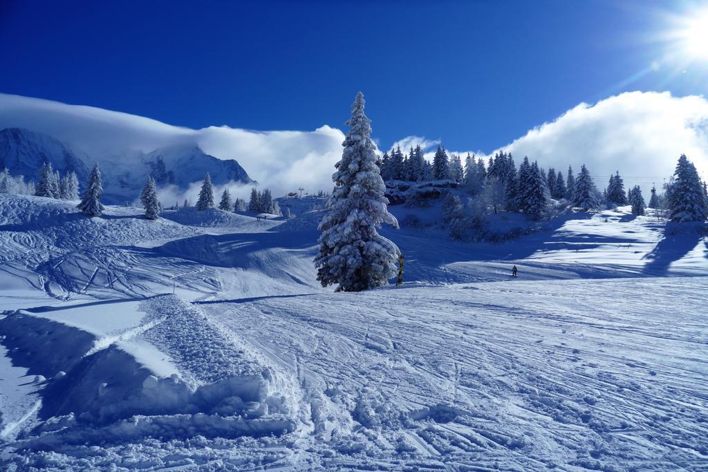 Chalet Hotel Du Bois Ле-Уш Екстер'єр фото